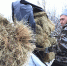 Помог социальный  контракт - Газета За честь хлебороба