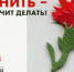 Всероссийская акция «Красная гвоздика» пройдет с 21 апреля по 22 июня - Газета За честь хлебороба