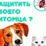 Сезон клещей - Газета За честь хлебороба
