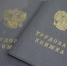 Запрет на увольнение вдовы ветерана боевых  действий  в течение 1 года  после его смерти (гибели) - Газета За честь хлебороба
