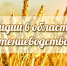 На поддержку элитного семеноводства - Газета За честь хлебороба