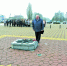 Цветы у Вечного огня - Газета За честь хлебороба