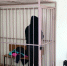 Солнцевским районным судом вынесен обвинительный приговор в отношении местной жительницы, совершившей кражу денег у своего знакомого - Солнцевский районный суд