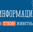 Утвержден график проведения отлова животных без владельцев на территории Солнцевского района Курской области в 2026 году. - Солнцевский район
